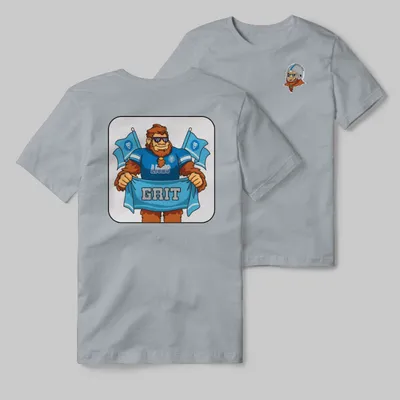 Lions Silver T-shirt with graphic